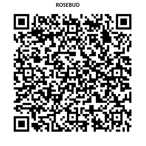 Rosebud New Patient Registration Form