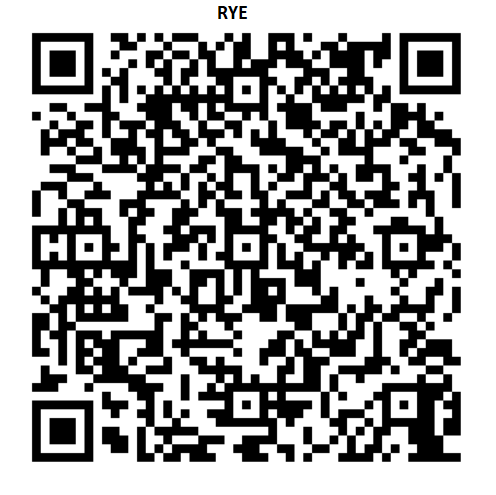 Rye New Patient Information Form